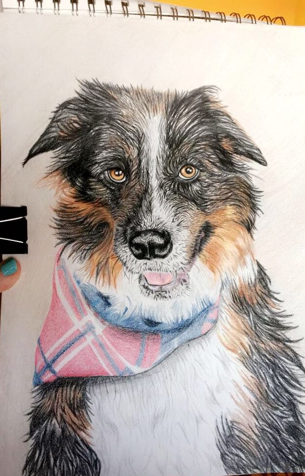 drawing of dog