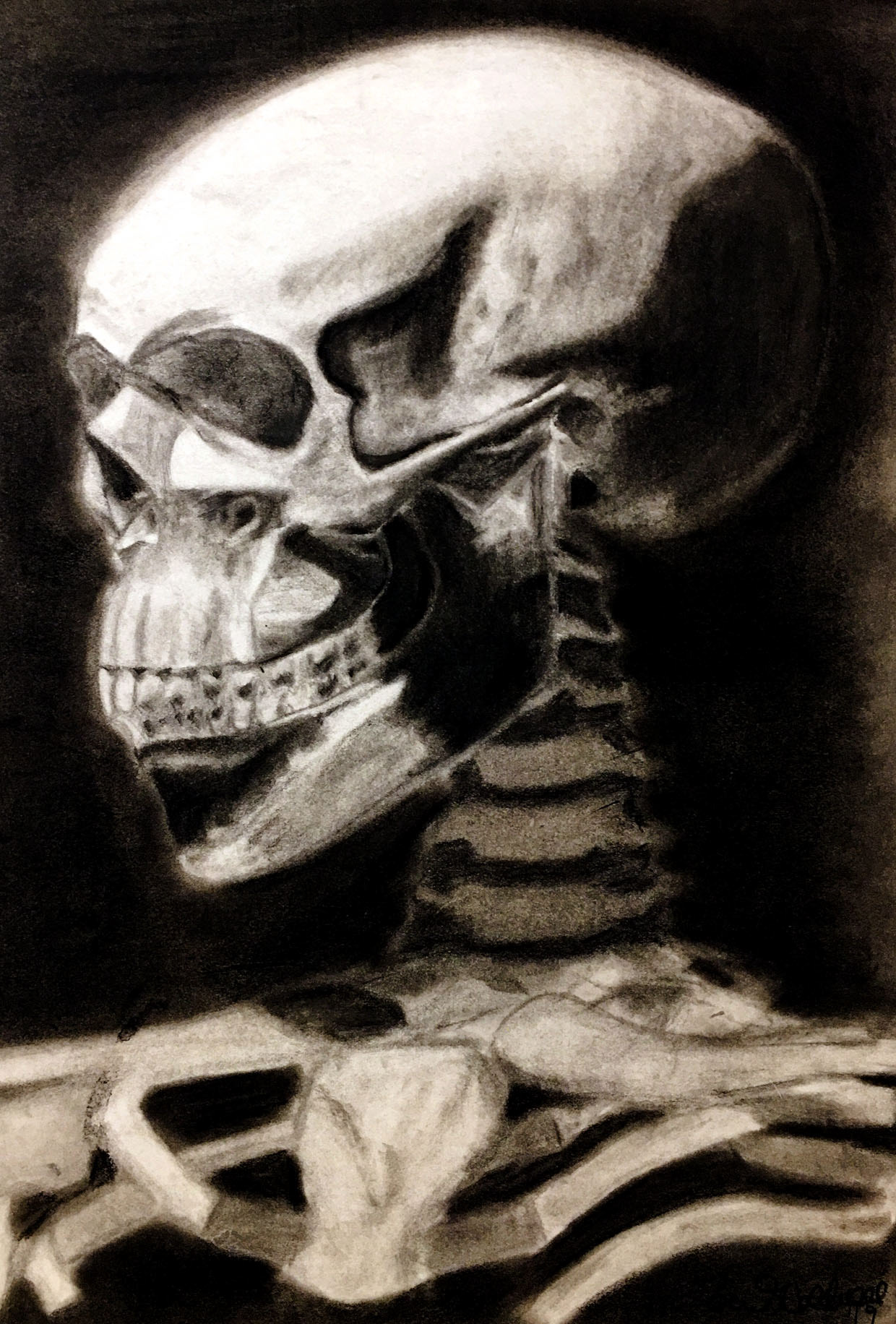 Skeleton