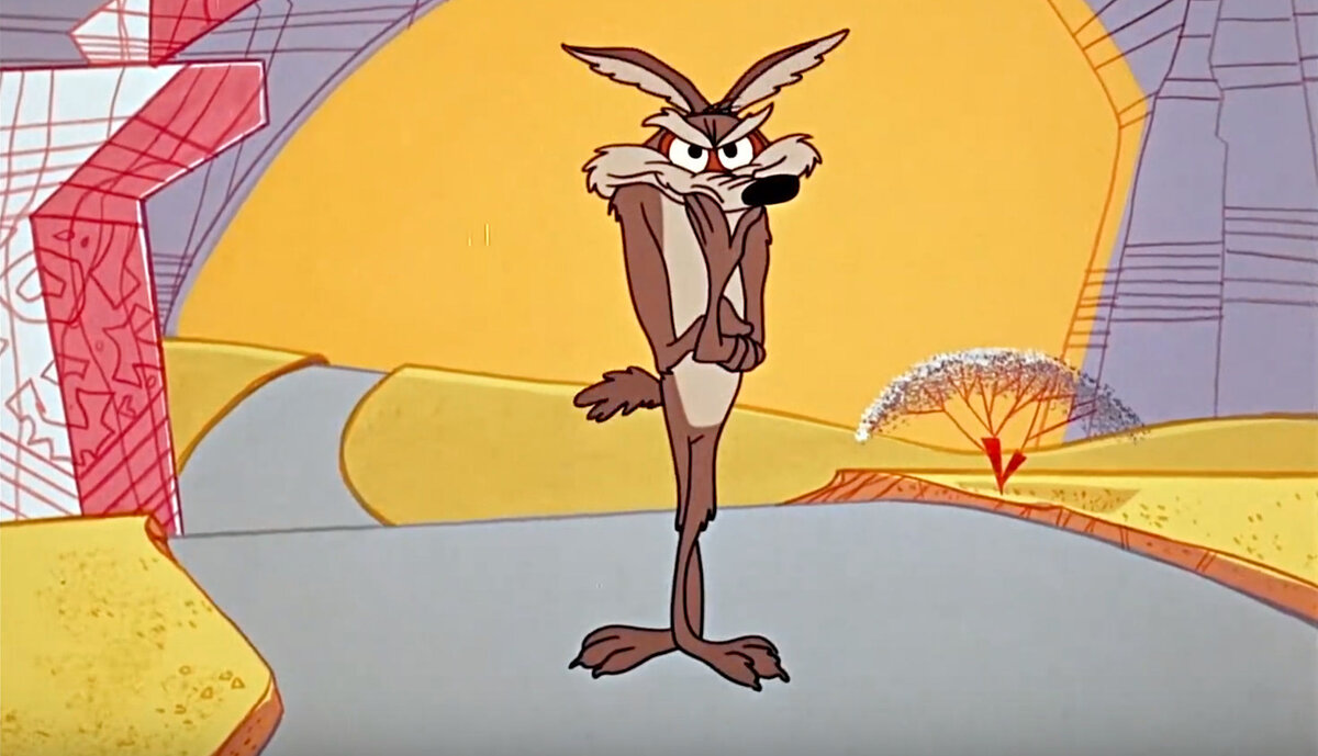 Wil E Coyote looking devious