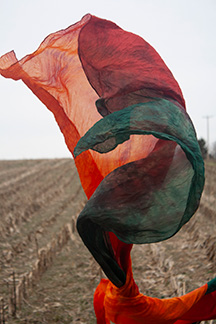 Artwork 2