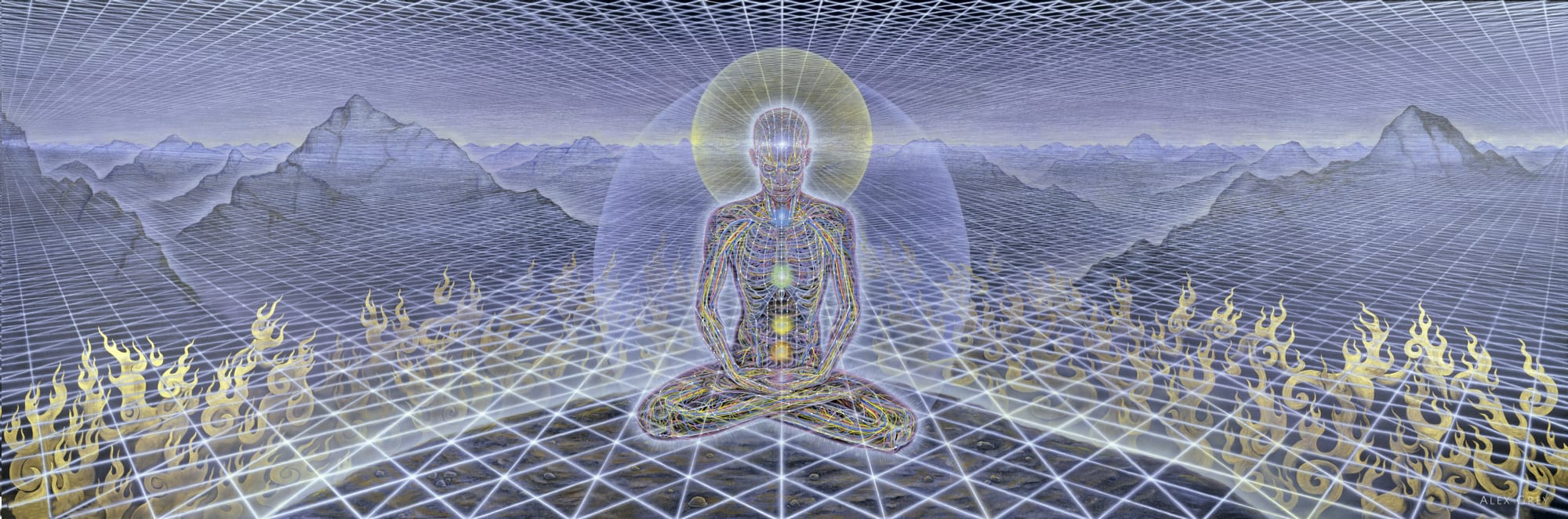 alex grey